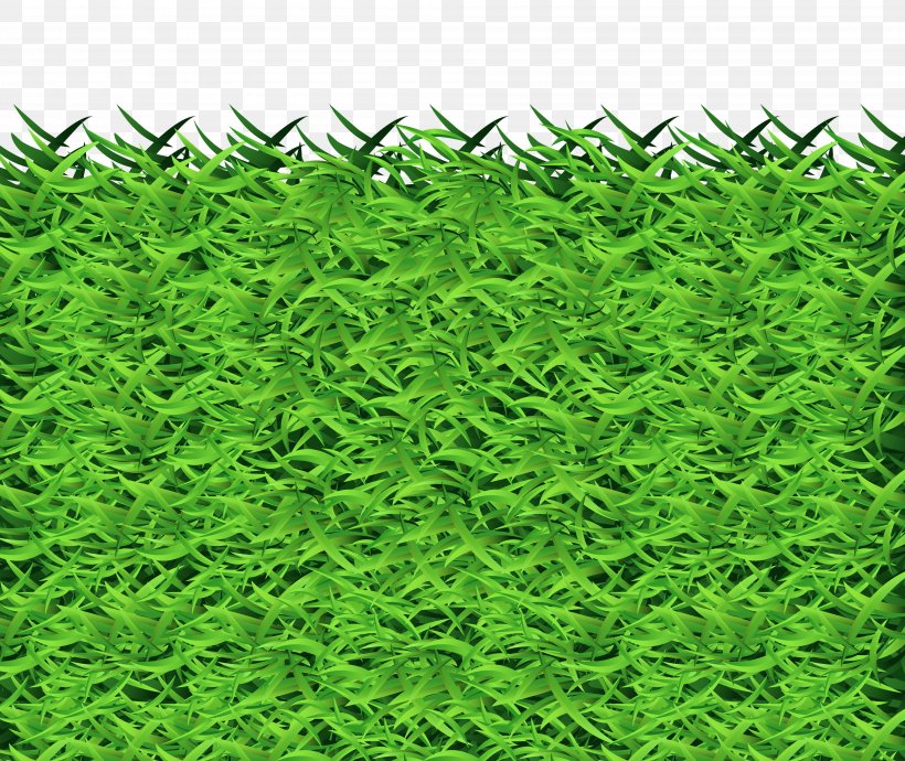 Grass Clipart, PNG, 4000x3370px, Art, Art Museum, Astrological Sign, English, Evergreen Download Free