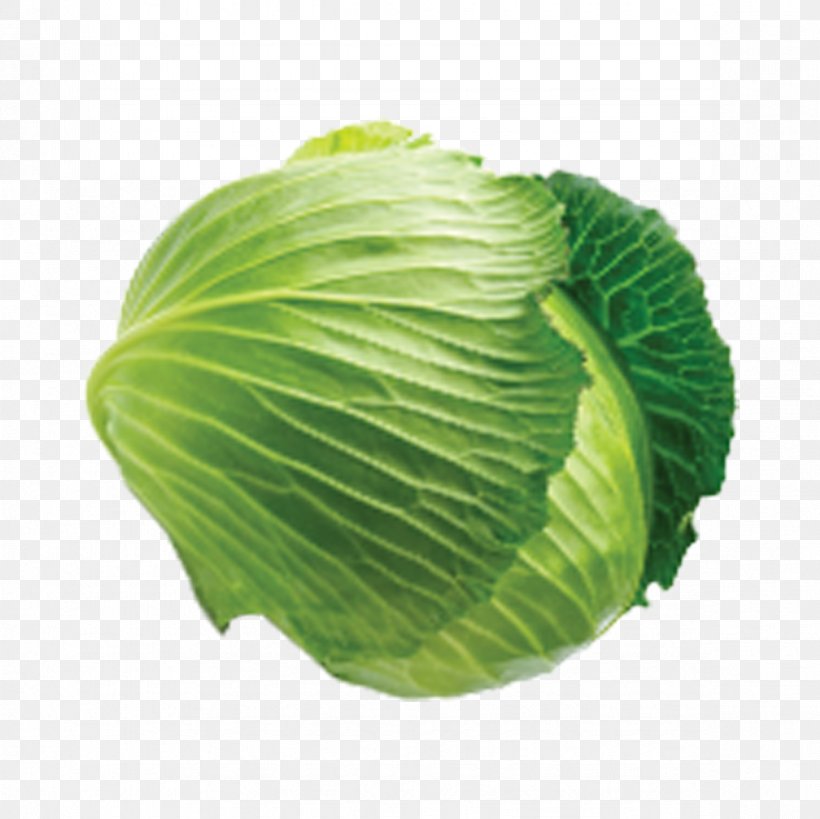 Savoy Cabbage Cauliflower Leaf Vegetable, PNG, 1181x1181px, Savoy Cabbage, Brassica Oleracea, Cabbage, Cauliflower, Chinese Cabbage Download Free