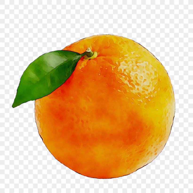 Clementine Mandarin Orange Tangerine Grapefruit Tangelo, PNG, 1062x1062px, Clementine, Accessory Fruit, Bitter Orange, Blood Orange, Citric Acid Download Free