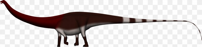 Dinheirosaurus Supersaurus Tyrannosaurus Lusotitan Spinosaurus, PNG, 3000x699px, Dinheirosaurus, Allosaurus, Animal Figure, Beak, Brachiosaurus Download Free