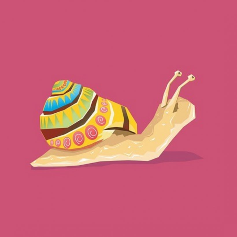 Snail Gastropods Photography, PNG, 1080x1080px, Snail, Art, Color, Drawing, Gastropods Download Free