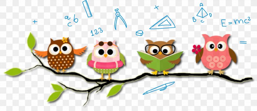 Owl Cartoon Line Branch Bird, PNG, 3000x1305px, Owl, Bird, Bird Of Prey, Branch, Cartoon Download Free