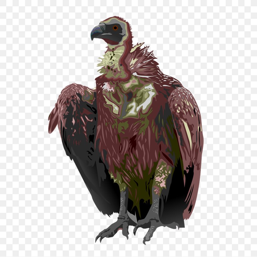 Turkey Vulture Bird Black Vulture Clip Art, PNG, 600x821px, Vulture, Accipitridae, Beak, Bird, Bird Of Prey Download Free