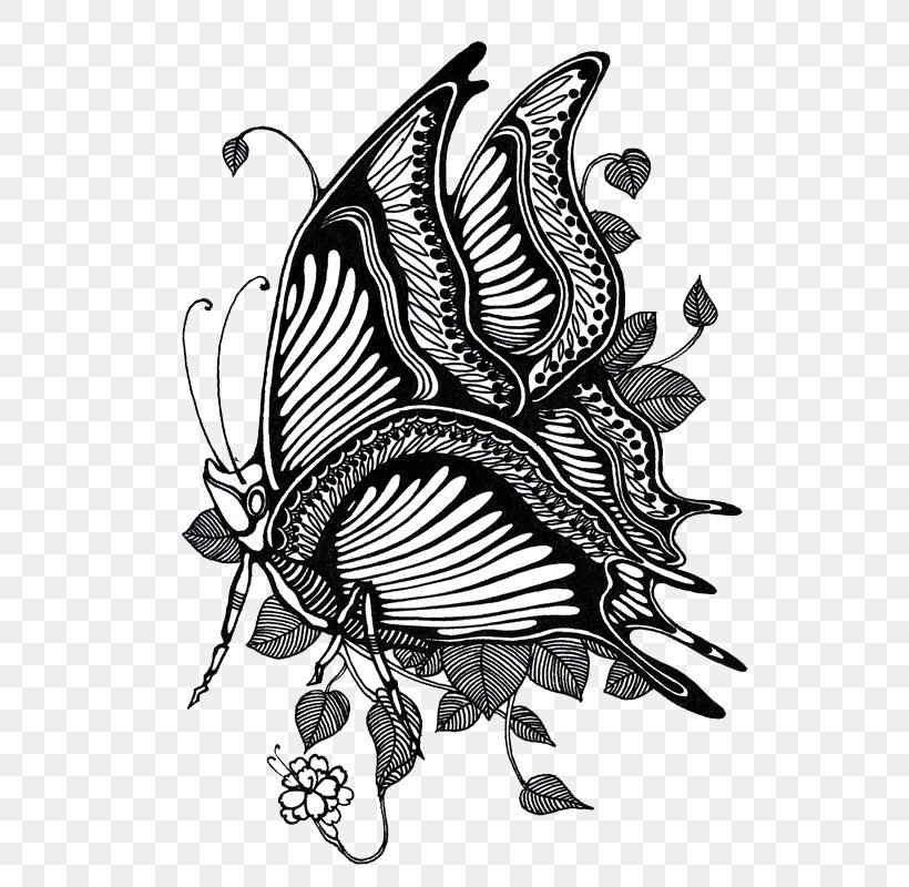 Butterfly Black And White Illustration, PNG, 565x800px, Butterfly, Art, Bird, Black, Black And White Download Free
