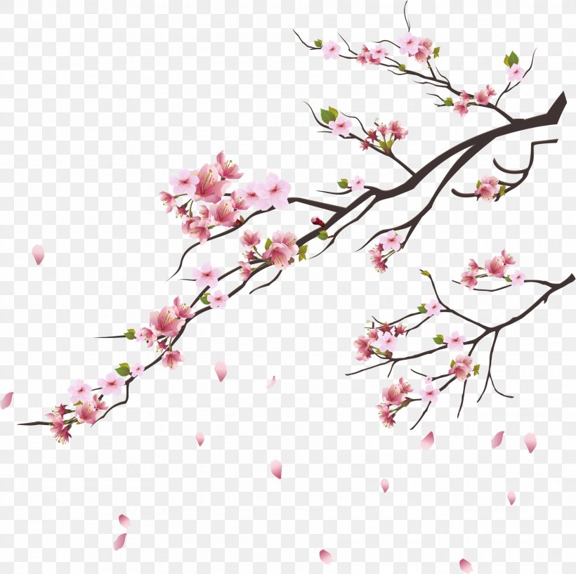 Cherry Blossom Tsukasa Of Tokyo Branch, PNG, 1824x1819px, Cherry Blossom, Blossom, Branch, Cherry, Floral Design Download Free