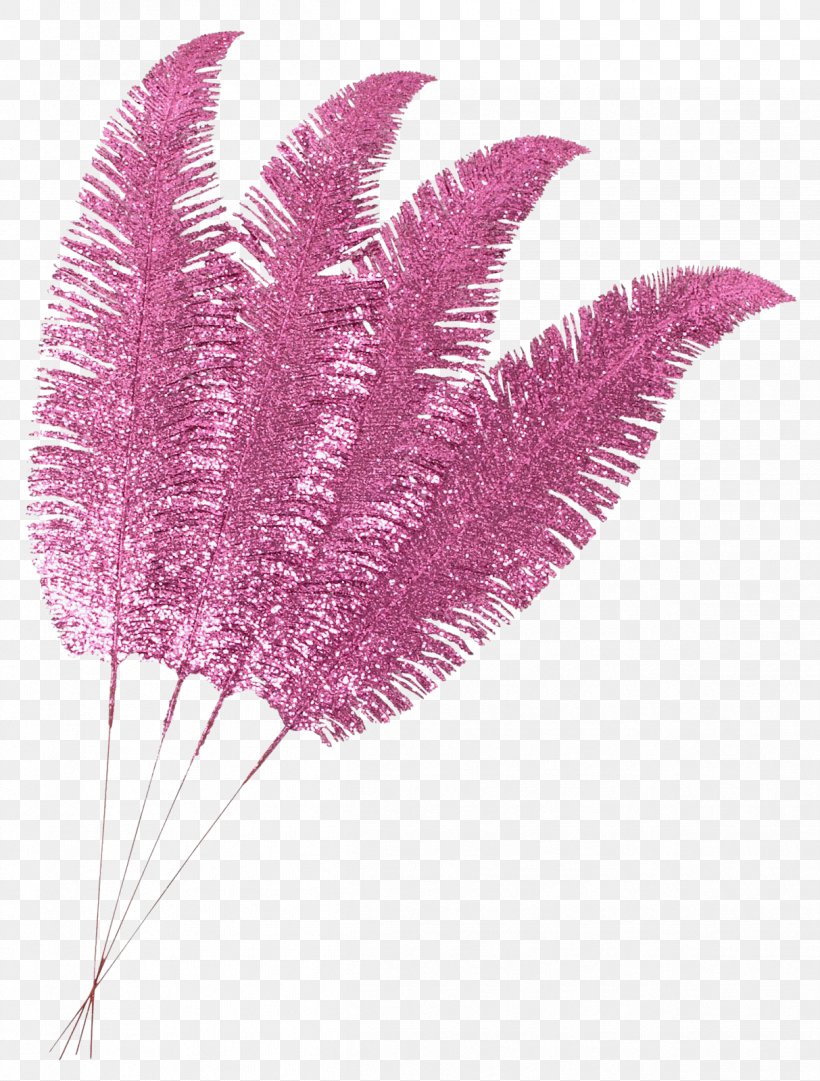 Photography .by Clip Art, PNG, 1213x1600px, Photography, Feather, Flamenco, Leaf, Magenta Download Free