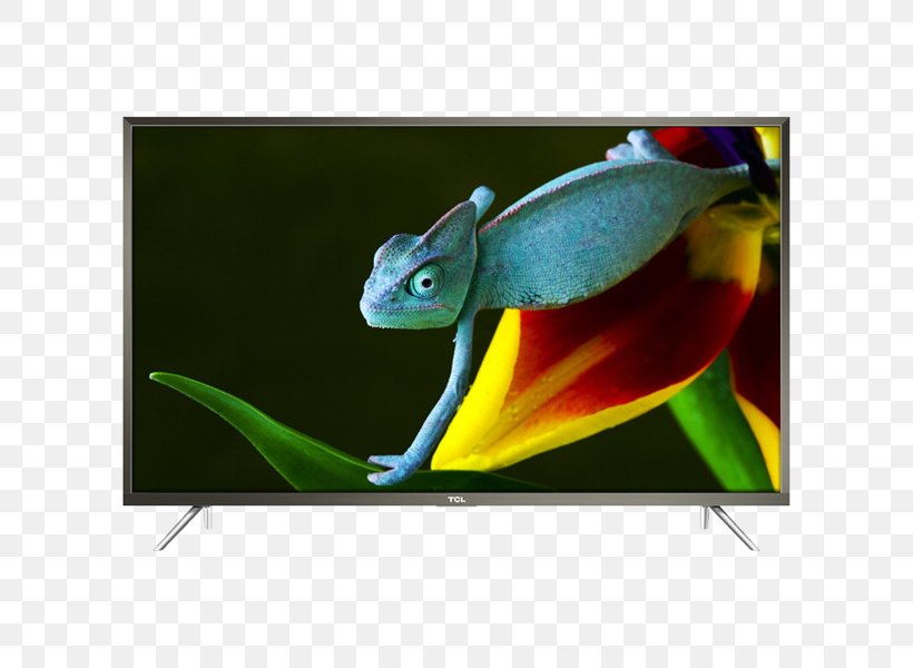 TCL P20US Ultra-high-definition Television LED-backlit LCD 4K Resolution Smart TV, PNG, 600x600px, 4k Resolution, Ultrahighdefinition Television, Amphibian, Chameleon, Fauna Download Free