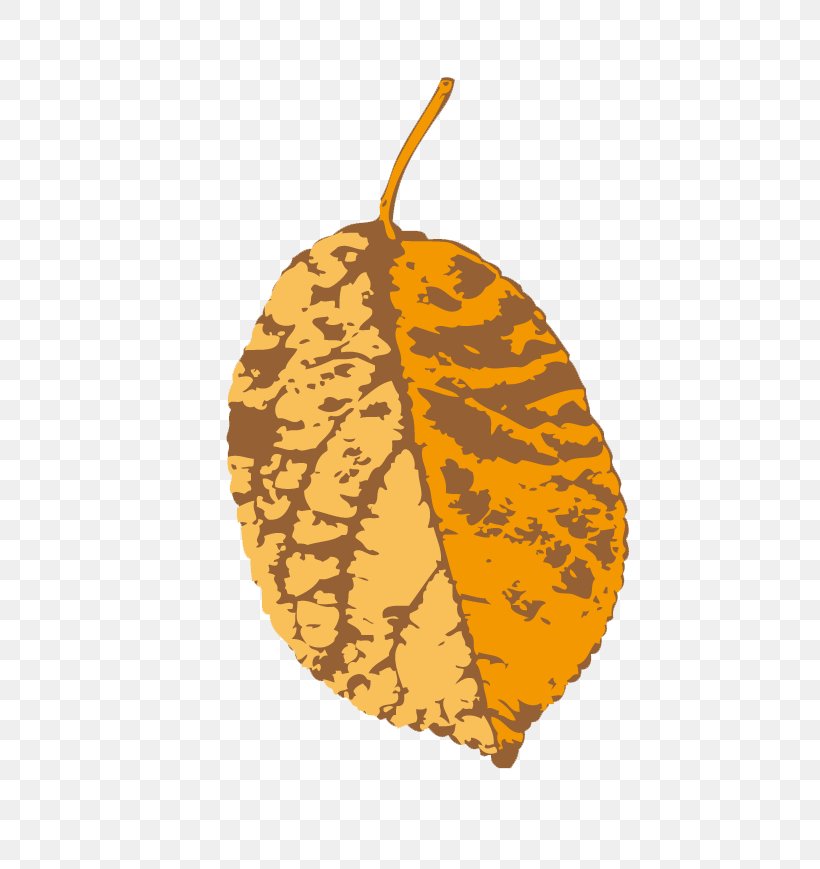 Leaf Yellow Illustration, PNG, 696x869px, Leaf, Flat Design, Fruit, Green, Orange Download Free