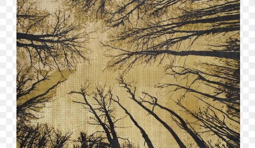 Painting Forest Ecosystem Wood /m/083vt, PNG, 1024x594px, Painting, Branch, Branching, Ecosystem, Forest Download Free