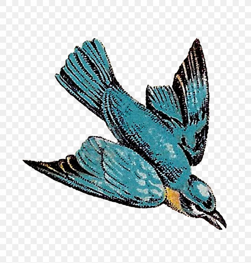 Bird Feather Drawing Flight, PNG, 1521x1600px, Bird, Animal, Beak, Bird Flight, Blue Jay Download Free