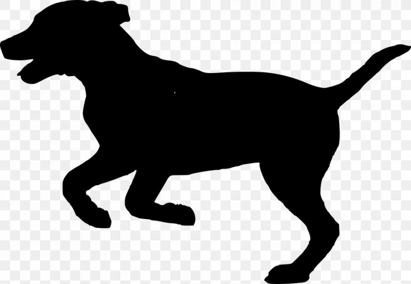 Dog Park Puppy Pet Dog Harness, PNG, 960x664px, Dog, Assistance Dog, Black, Black And White, Carnivoran Download Free