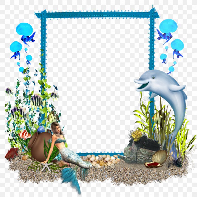 Picture Frames Photography, PNG, 1080x1080px, Picture Frames, Dolphin, Drawing, Fauna, Flora Download Free
