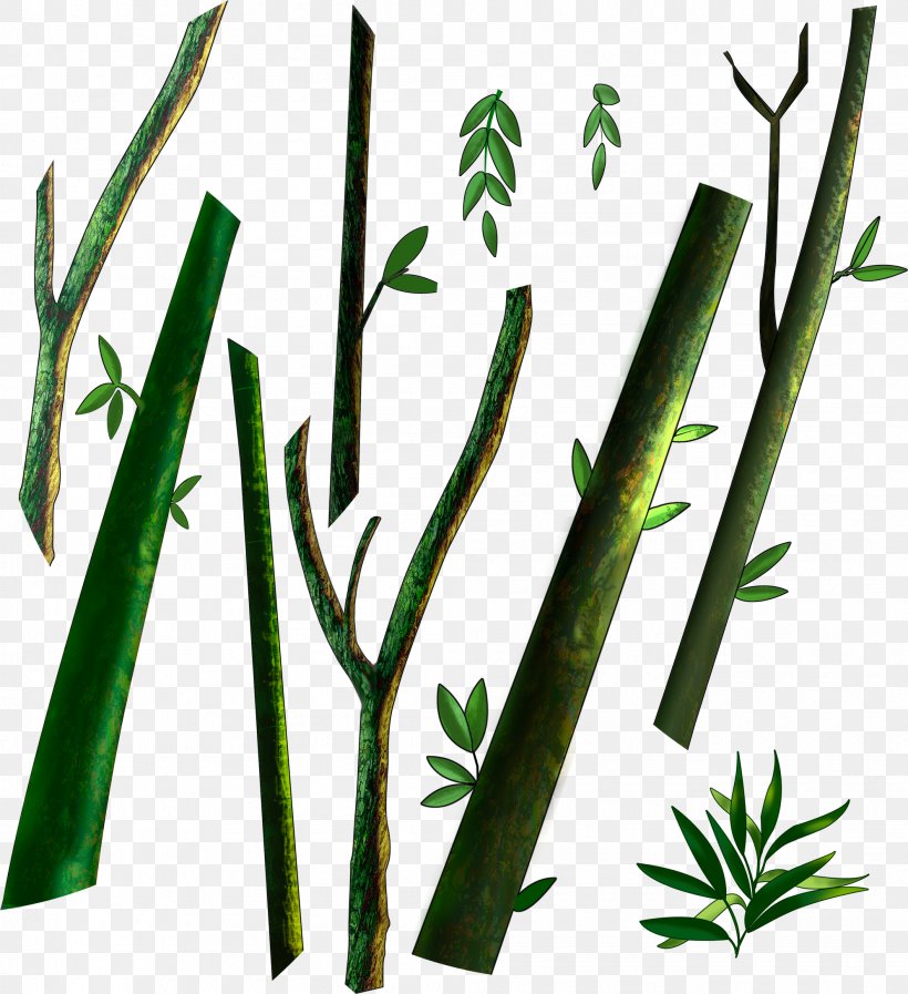 Plant Stem Leaf Branch Clip Art, PNG, 1990x2177px, Plant Stem, Birch, Branch, Directory, Drawing Download Free