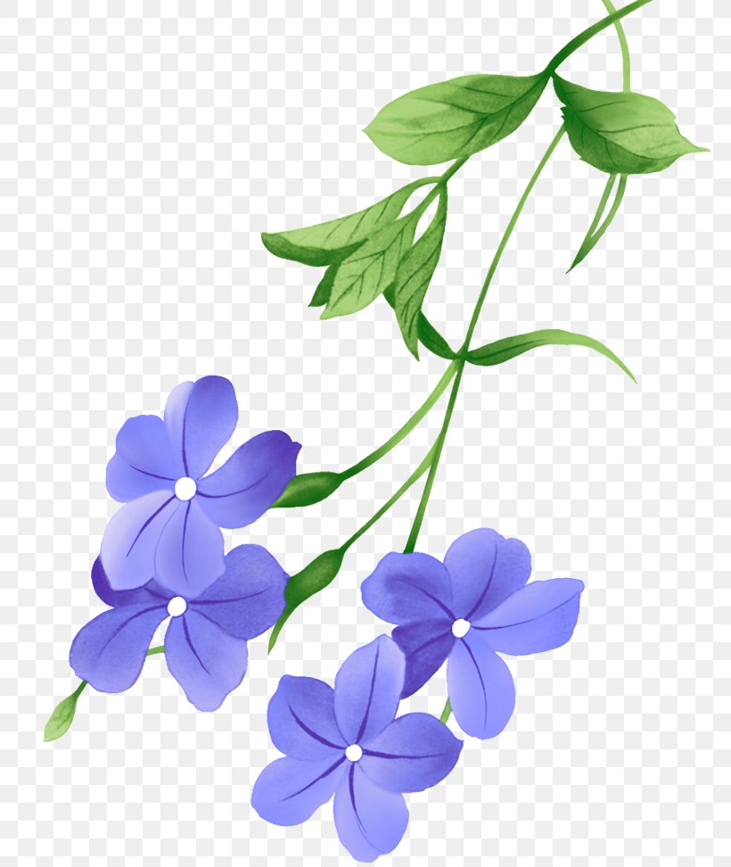 花朵, PNG, 800x972px, Ink, Coreldraw, Flower, Flowering Plant, Lilac Download Free