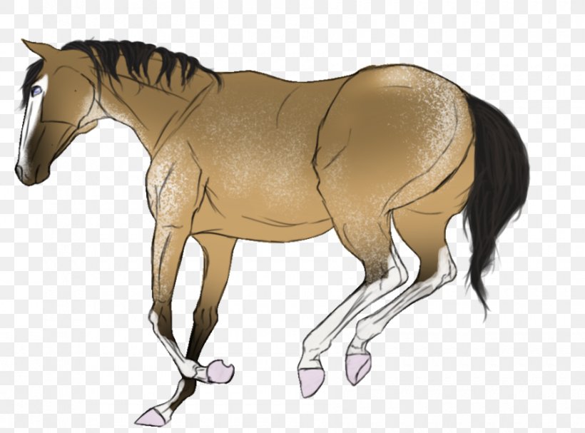 Mule Foal Stallion Halter Pony, PNG, 900x667px, Mule, Bridle, Colt, Foal, Halter Download Free