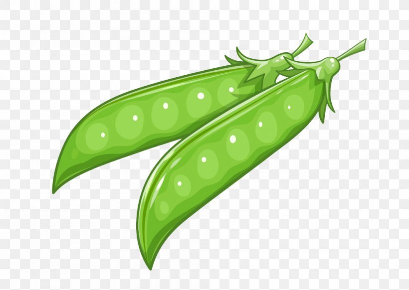 Pea Food Illustration, PNG, 1000x710px, Pea, Creative Market, Food, Fruit, Green Download Free