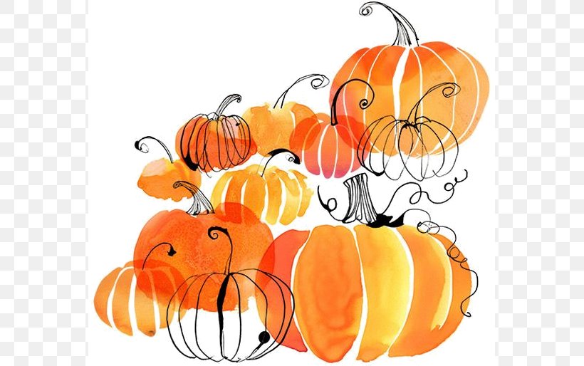 Pumpkin Pie Watercolor Painting New Hampshire Pumpkin Festival Autumn, PNG, 571x514px, Pumpkin, Apple, Artwork, Autumn, Calabaza Download Free