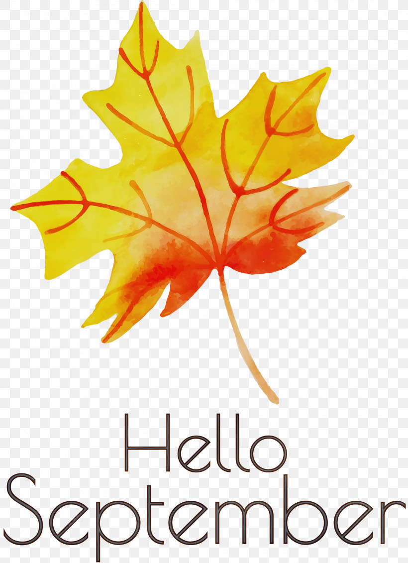 September Abstract Art Drawing Logo, PNG, 2175x3000px, Hello September, Abstract Art, Drawing, Leaf, Logo Download Free