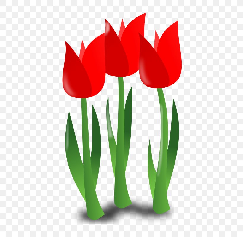 April Shower Flower Clip Art, PNG, 800x800px, April Shower, April, Blog, Flower, Flowering Plant Download Free