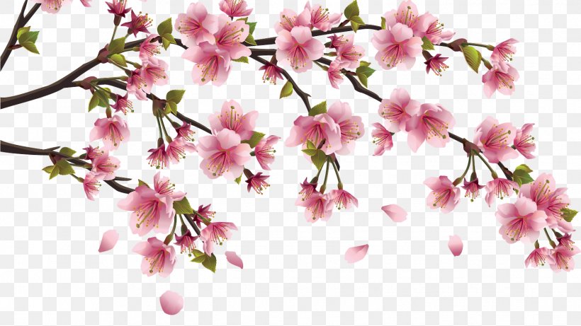 Clip Art Chinese Brush Painting Drawing Chinese Painting Vector Graphics, PNG, 1527x859px, Drawing, Azalea, Blossom, Branch, Cherry Blossom Download Free
