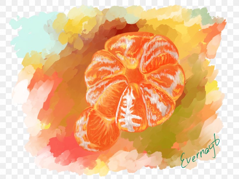 Grapefruit Mandarin Orange Tangerine Clementine Watercolor Painting, PNG, 1600x1200px, Grapefruit, Acrylic Paint, Clementine, Deviantart, Flower Download Free