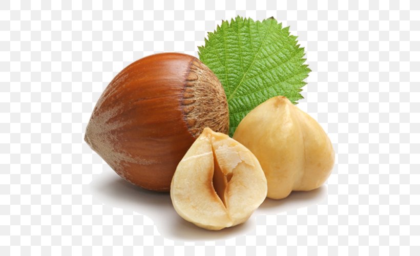 Hazelnut Praline Mousse Food Fruit, PNG, 500x500px, Hazelnut, Almond, Biscuit, Chocolate, Commodity Download Free