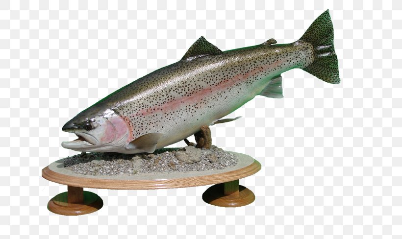 Rainbow Trout Taxidermy Fish Stocking Cutthroat Trout, PNG, 650x488px, Trout, Airbrush, Arizona, Bony Fish, Coho Download Free