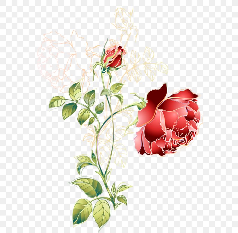 Flower Red Green Color, PNG, 618x800px, Flower, Artificial Flower, Color, Cut Flowers, Flora Download Free
