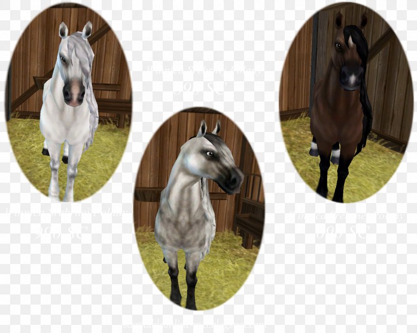 Mane Mustang Stallion Friesian Horse Friesian Sporthorse, PNG, 1500x1200px, Mane, Bridle, Foal, Friesian Horse, Friesian Sporthorse Download Free