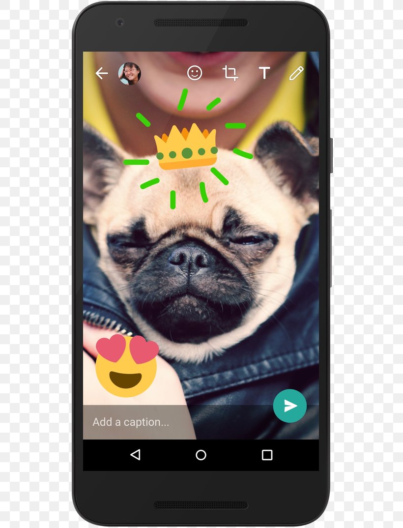 WhatsApp Camera Android Emoji, PNG, 640x1074px, Whatsapp, Android, Camera, Carnivoran, Communication Device Download Free