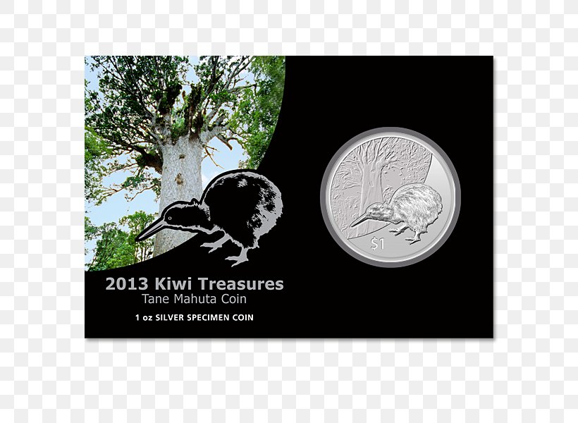 Coin New Zealand Silver Cent Klub Numizmat, PNG, 600x600px, Coin, Brand, Cent, Currency, Label Download Free
