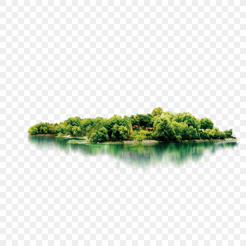 Download Computer File, PNG, 2000x2000px, Forest, Digital Image, Grass, Green, Image File Formats Download Free