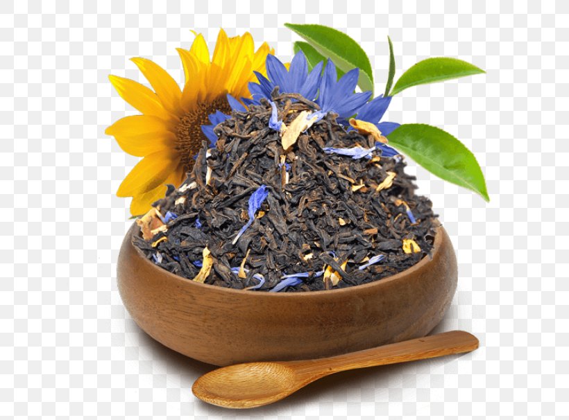 Nilgiri Tea Dianhong Flowerpot Tea Plant, PNG, 700x606px, Nilgiri Tea, Assam Tea, Ceylon Tea, Da Hong Pao, Dianhong Download Free