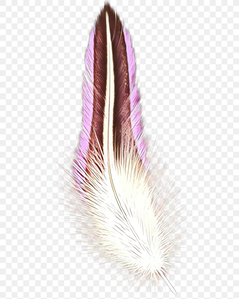 Pink Background, PNG, 553x1024px, Cartoon, Closeup, Fashion Accessory, Feather, Fur Download Free