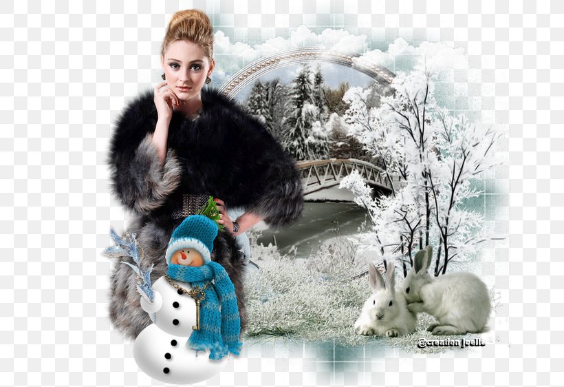 Winter Snow Landscape Desktop Wallpaper, PNG, 750x562px, Winter, Child, Computer Monitors, Friendship, Fur Download Free