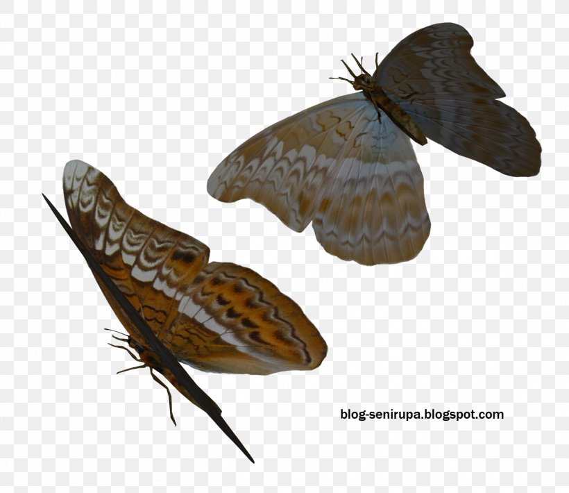 Brush-footed Butterflies Butterfly Brown House Moth Art Hofmannophila, PNG, 1308x1134px, Brushfooted Butterflies, Art, Arthropod, Artist, Brown House Moth Download Free
