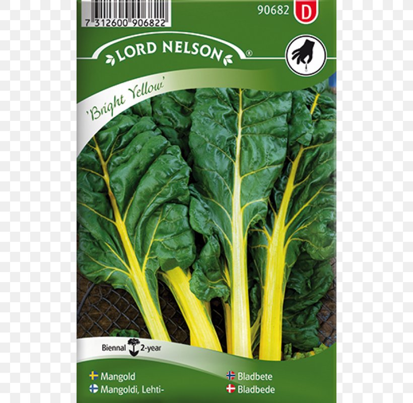Seed Sowing Arugula Bedding Perennial Plant, PNG, 800x800px, Seed, Annual Plant, Arugula, Bedding, Chard Download Free
