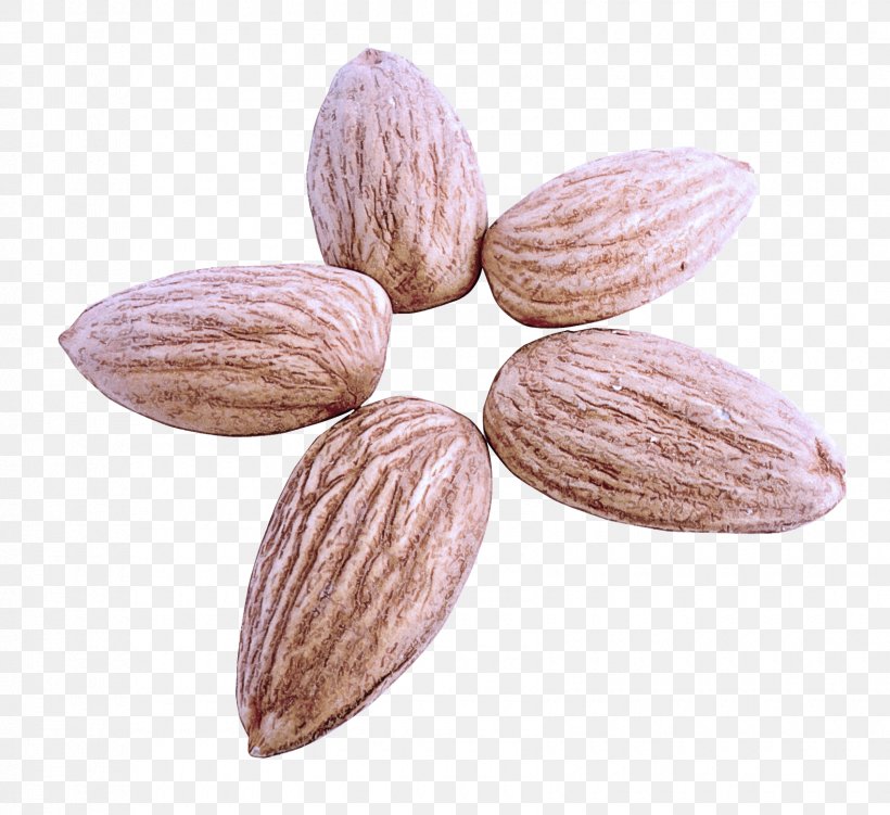 Almond Plant Flower Seed, PNG, 1700x1559px, Almond, Flower, Plant, Seed Download Free