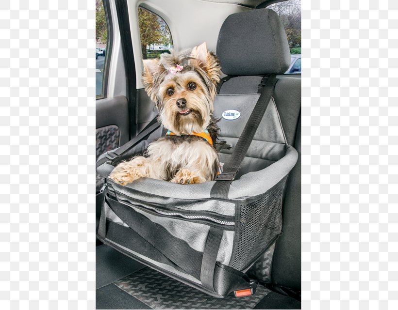 Cat Dog Assento Transpet, PNG, 630x640px, Cat, Animal, Car, Car Seat, Car Seat Cover Download Free