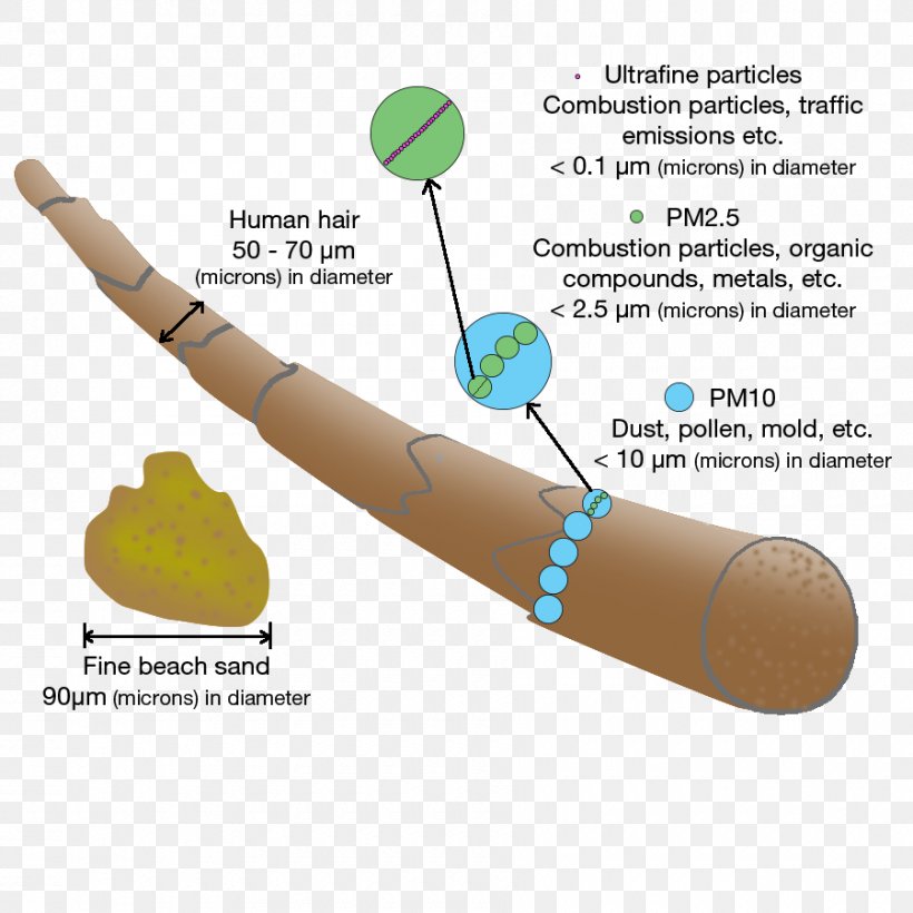 Particulates Deeltje Dust Bunny PM10, PNG, 900x900px, Particulates, Air, Arm, Body, Dust Download Free