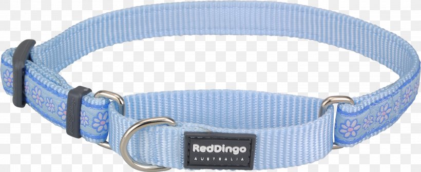 Dog Collar Dingo Martingale, PNG, 3000x1229px, Dog, Benji, Blue, Cat, Collar Download Free