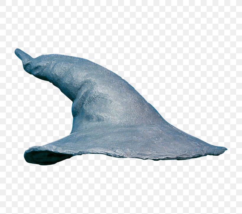 Gandalf The Lord Of The Rings The Hobbit Hat Image, PNG, 723x723px, Gandalf, Clothing, Clothing Accessories, Common Bottlenose Dolphin, Costume Download Free