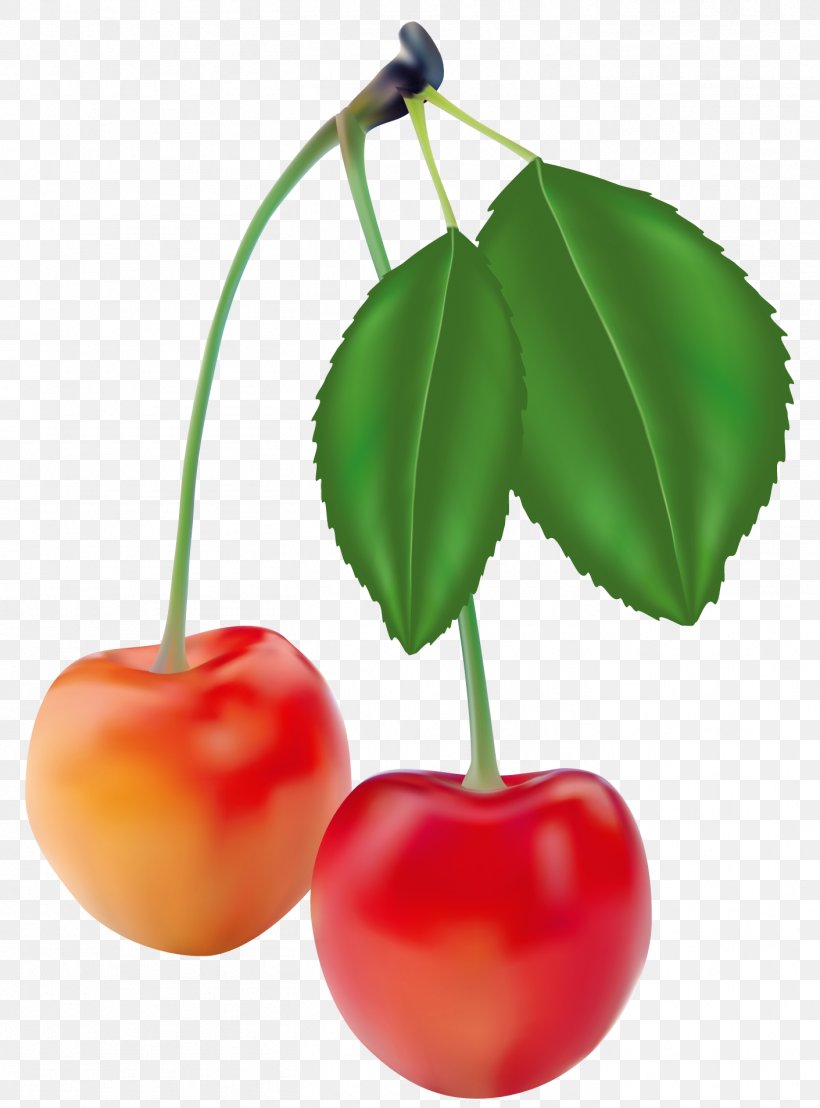 Cherries, PNG, 1411x1907px, Fruit, Apple, Cherry, Food, Natural Foods Download Free