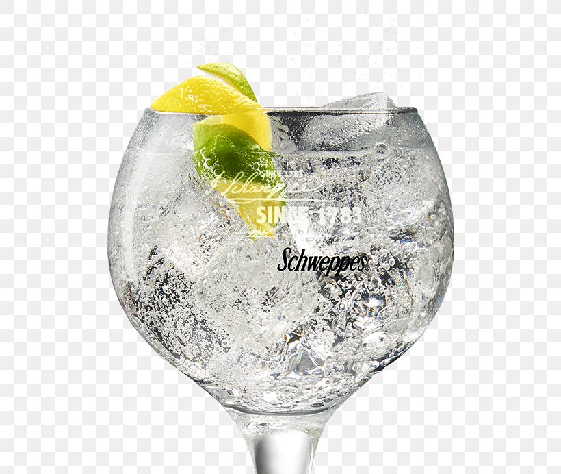 Gin And Tonic Tonic Water Vodka Tonic Tanqueray, PNG, 625x692px, Gin And Tonic, Cocacola Company, Cocktail, Cocktail Garnish, Cup Download Free