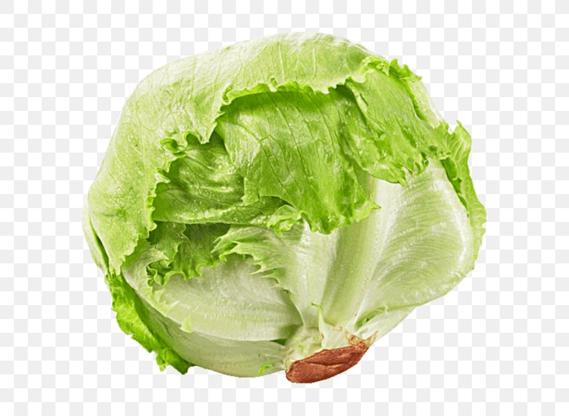 Romaine Lettuce Seed Iceberg Lettuce Rijk Zwaan Salad, PNG, 600x600px, Romaine Lettuce, Cabbage, Collard Greens, Description, Endive Download Free