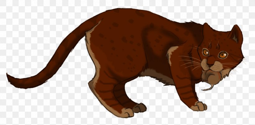 Tabby Cat Whiskers Warriors Kitten, PNG, 900x443px, Cat, Animal, Animal Figure, Carnivoran, Cat Like Mammal Download Free