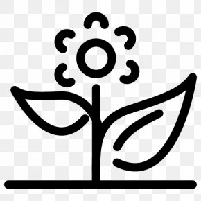 Garden PNG