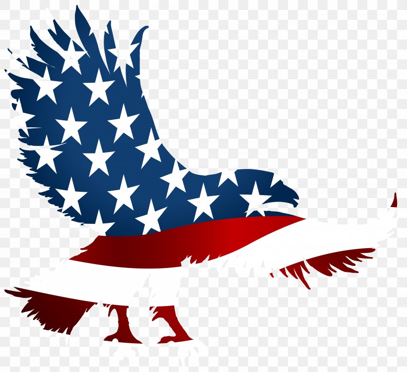 Flag Of The United States T-shirt American Eagle Outfitters Clip Art, PNG, 8000x7332px, United States, American Eagle Outfitters, Charles Fawcett, Eagle, Flag Download Free