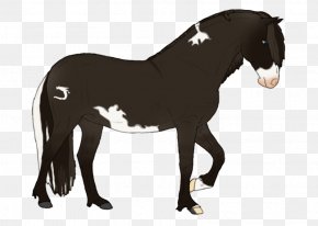 Mud Horse - Mustang Stallion Pony Rein Pack Animal PNG