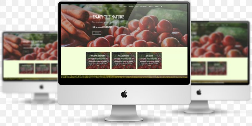 Responsive Web Design Web Template System Multimedia, PNG, 1129x567px, Responsive Web Design, Display Advertising, Display Device, Form, Information Download Free